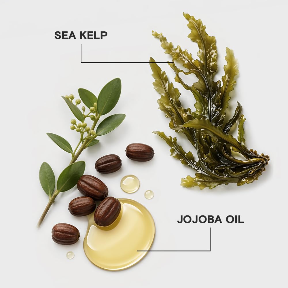 Joico Moisture Recovery Moisturizing Conditioner | For Thick, Coarse, Dry Hair | Replenish Moisture | Restore Smoothness & Elasticity | Strengthen & Reduce Breakage | With Jojoba Oil & Shea Butter