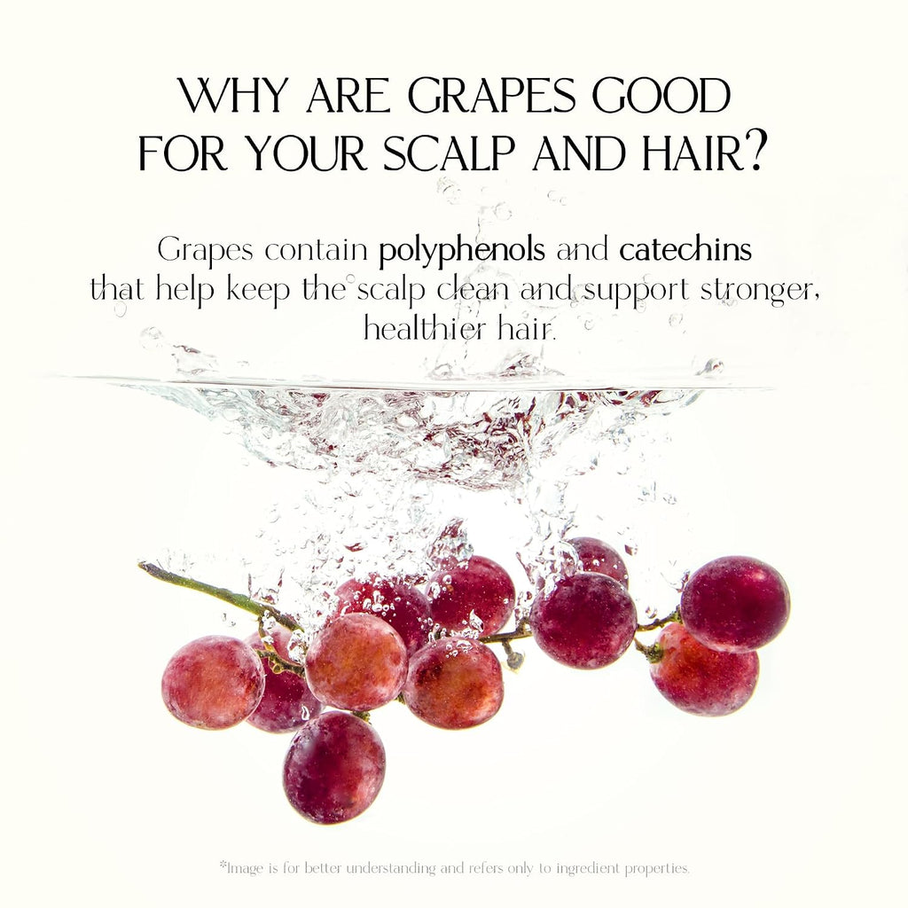 Mild Moisture Shampoo | Hydrating & Nourishing for Normal to Dry Scalp, Dermatologically Tested, Free from 12 Harsh Ingredients, Made in Korea | 16.9 fl oz