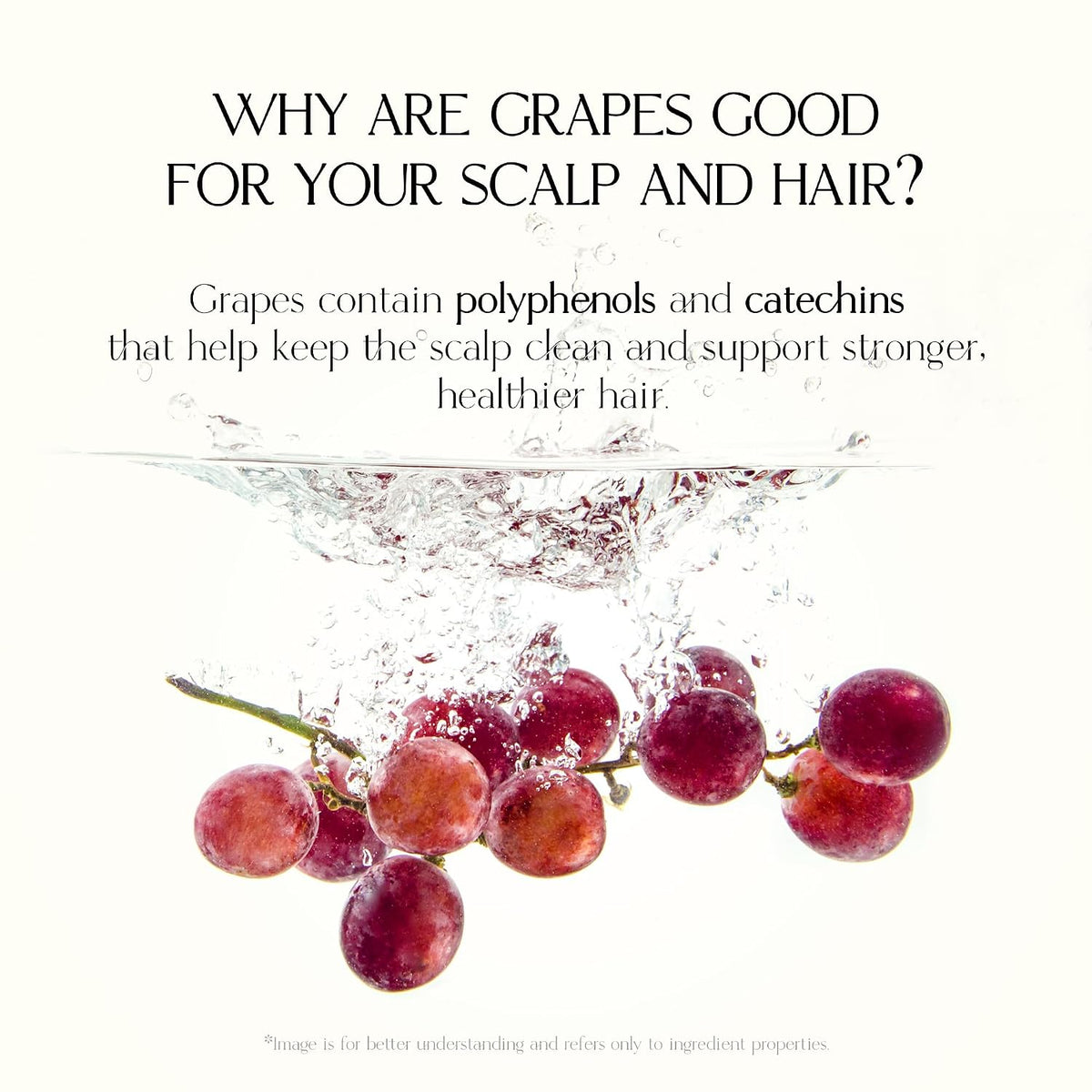 Mild Moisture Shampoo | Hydrating & Nourishing for Normal to Dry Scalp, Dermatologically Tested, Free from 12 Harsh Ingredients, Made in Korea | 16.9 fl oz