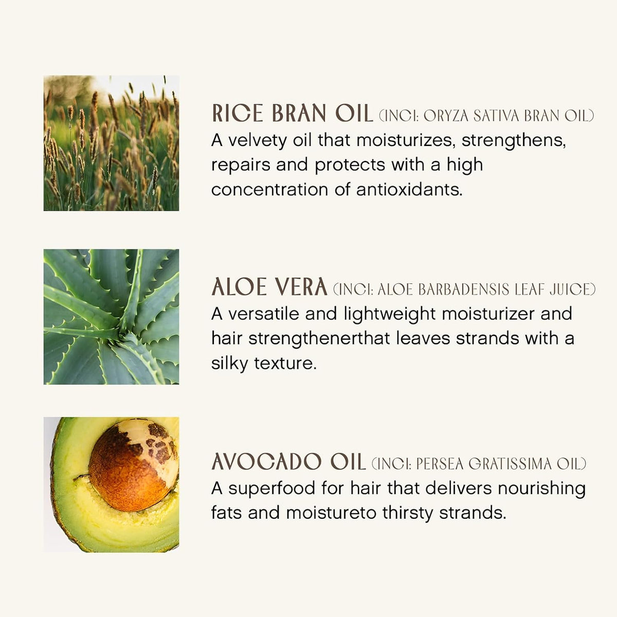 INNERSENSE Organic Beauty - Pure Inspiration Daily Conditioner (10oz)