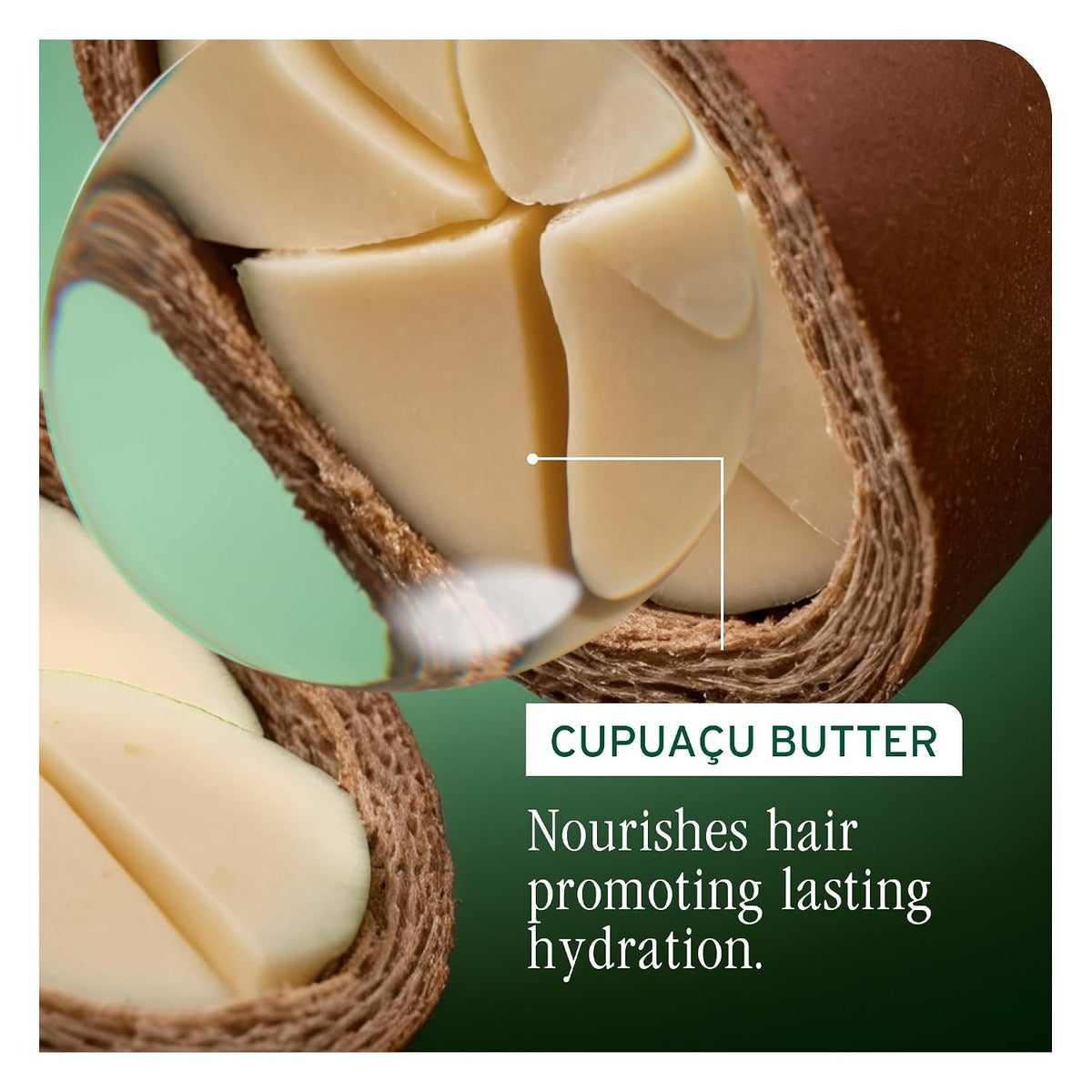 Biolage Ultra Hydra Source Conditioner – For Very Dry Hair
