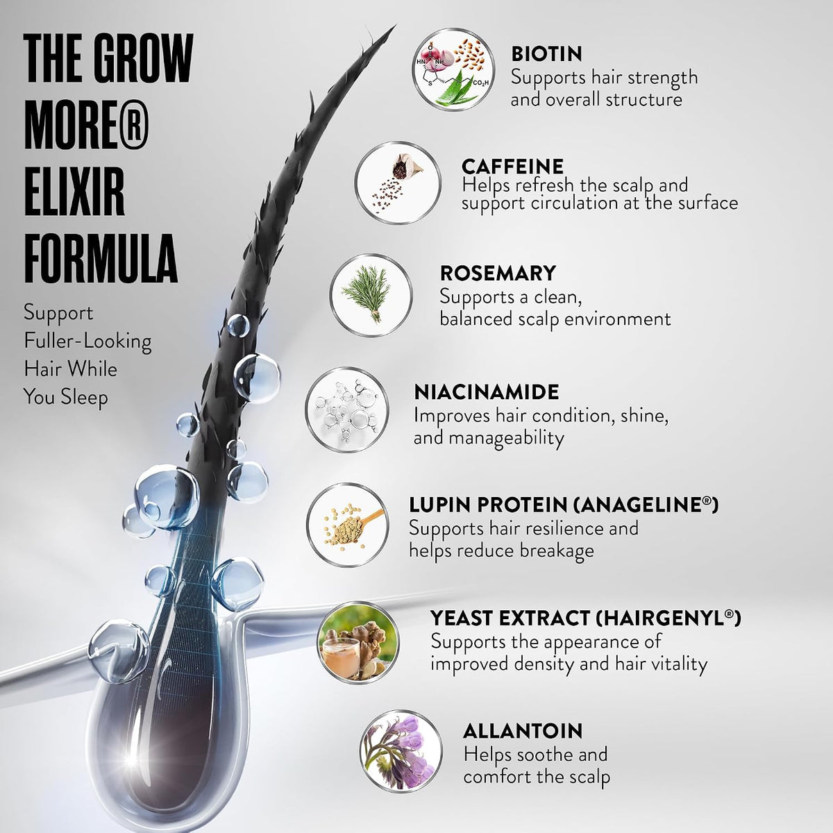 Grow More® Elixir – Leave In Hair Growth Serum for Thicker-Looking Hair & Improved Scalp Condition with Biotin, Caffeine, Rosemary & More – Sulfate-Free Hair Oil for Women & Men, 100mL
