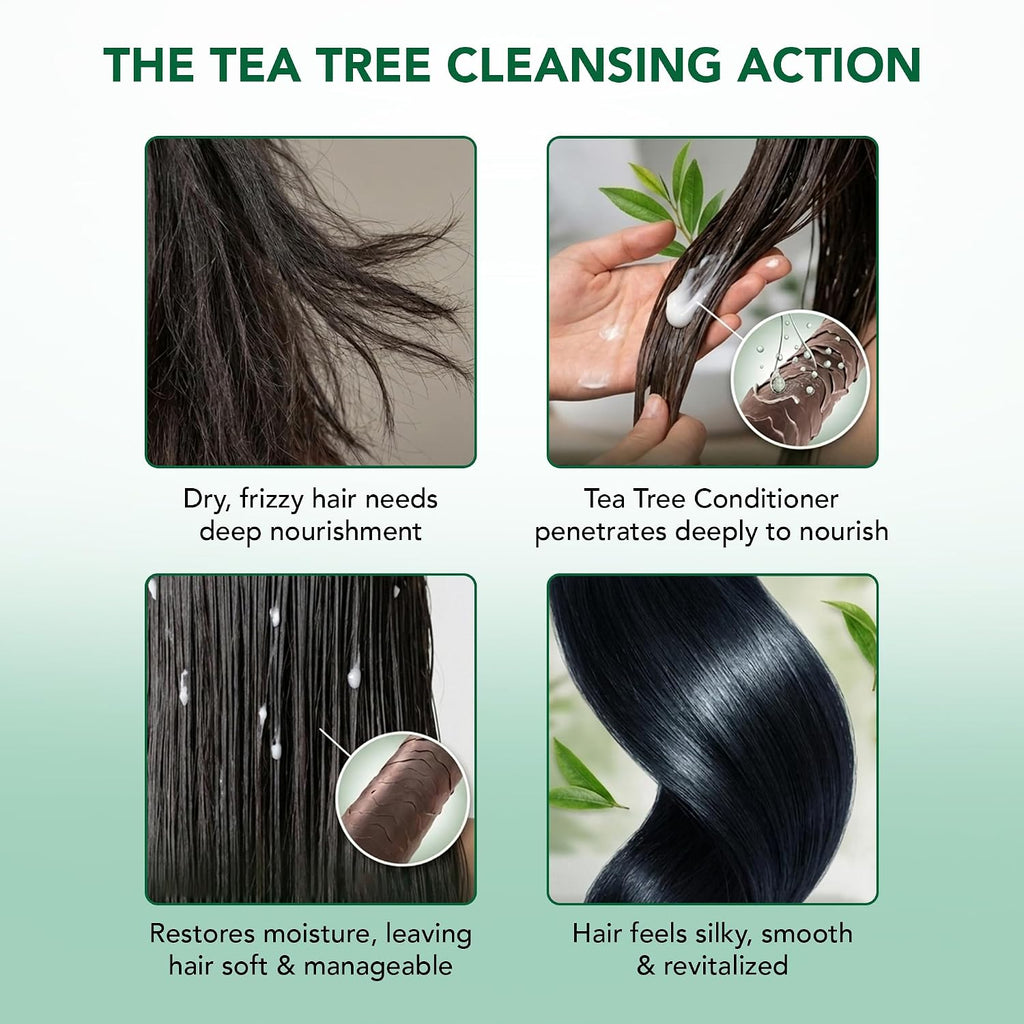 Botanic Hearth Tea Tree Conditioner with Sulphate & Paraben Free - 16 Fl oz