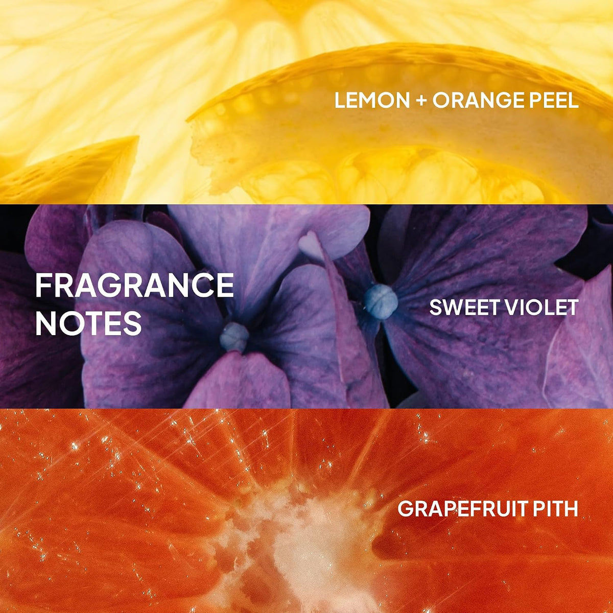 VERB Ghost Fine Hair Conditioner | Daily Weightless Moisture