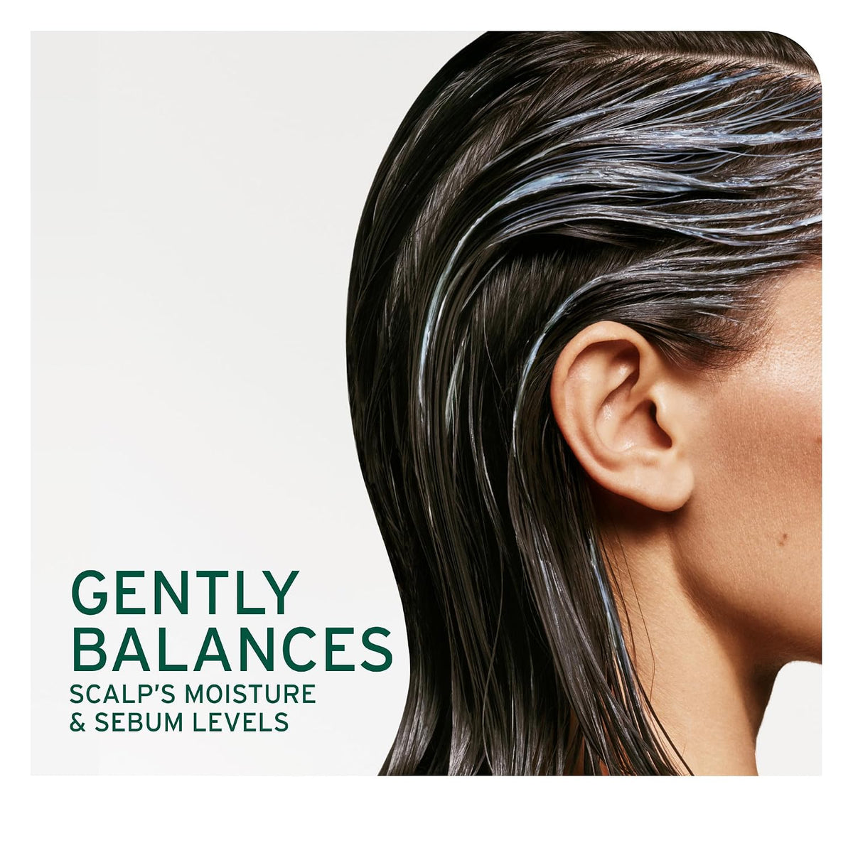 Biolage Scalp Sync Universal Conditioner – For All Scalp Types