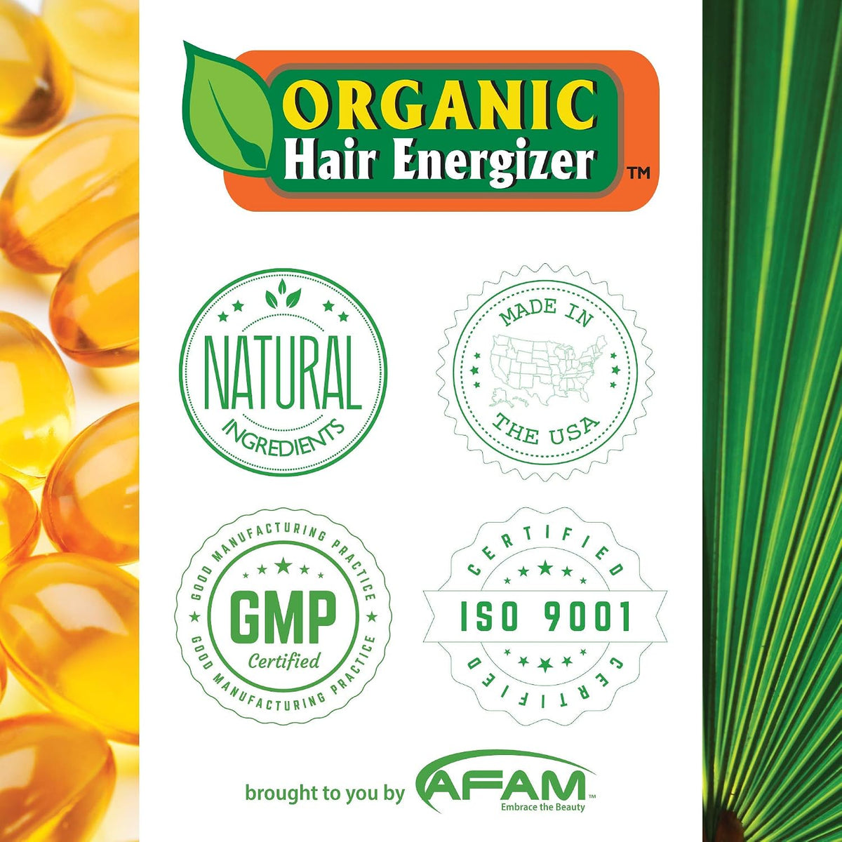 Organic Hair Growth Booster with Pro Vitamin-B5, 6 fl oz - DHT-Blocker, Sulfate-Free & Paraben-Free - for Thinning & Receding Hair - Color Safe for Men, Women & Teens by OHE