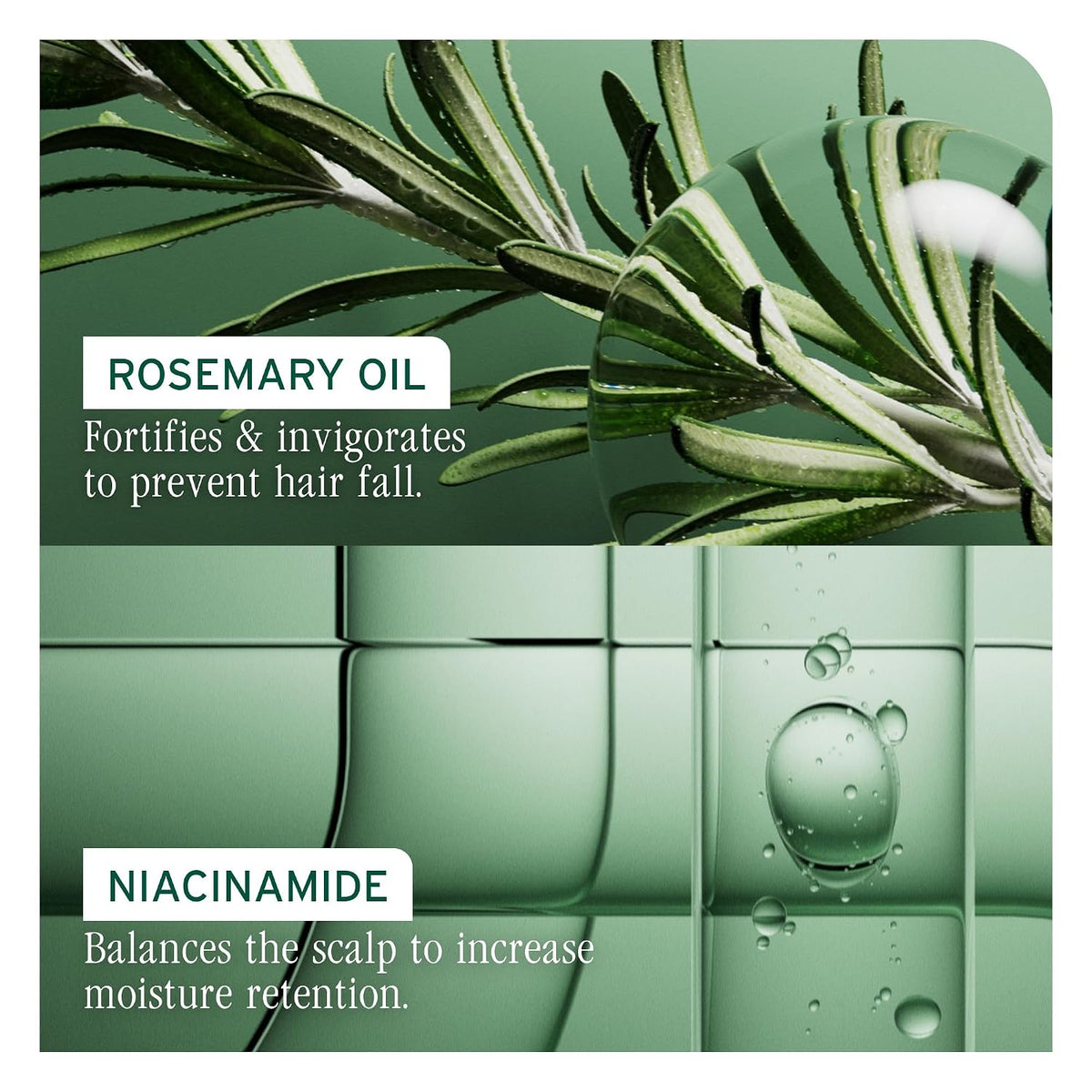 Biolage Full Rescue Conditioner – For Fine & Thinning Hair