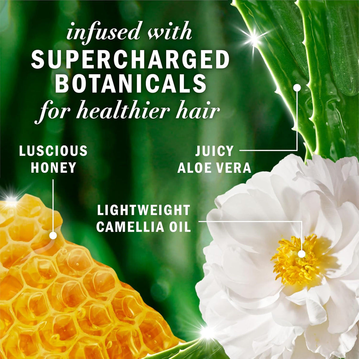 Herbal Essences Sulfate Free Shampoo with Honey for Daily Moisture, Nourishes Dry Hair, Moisturizing Shampoo with Certified Camellia Oil and Aloe Vera, Lightweight For All Hair Types, 33.8oz