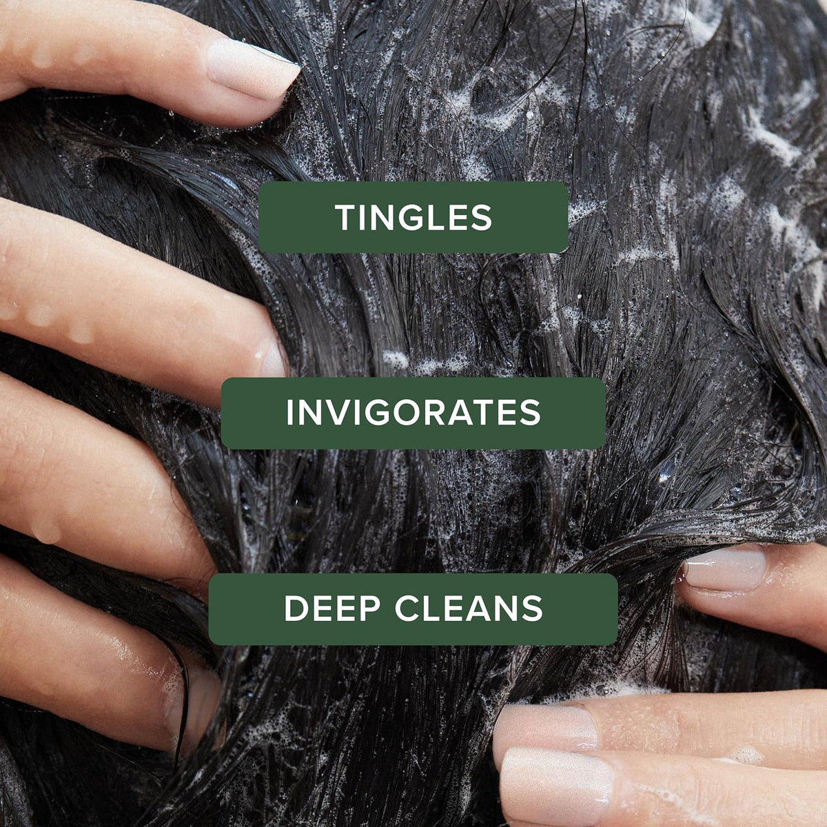 Tea Tree Special Shampoo, Deep Cleans, Refreshes Scalp, For All Hair Types, Especially Oily Hair